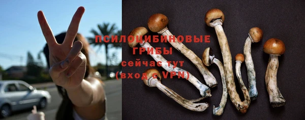 герыч Карпинск