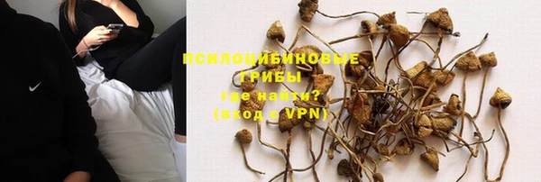 соль ск Касимов